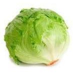 Lettuce - Iceberg