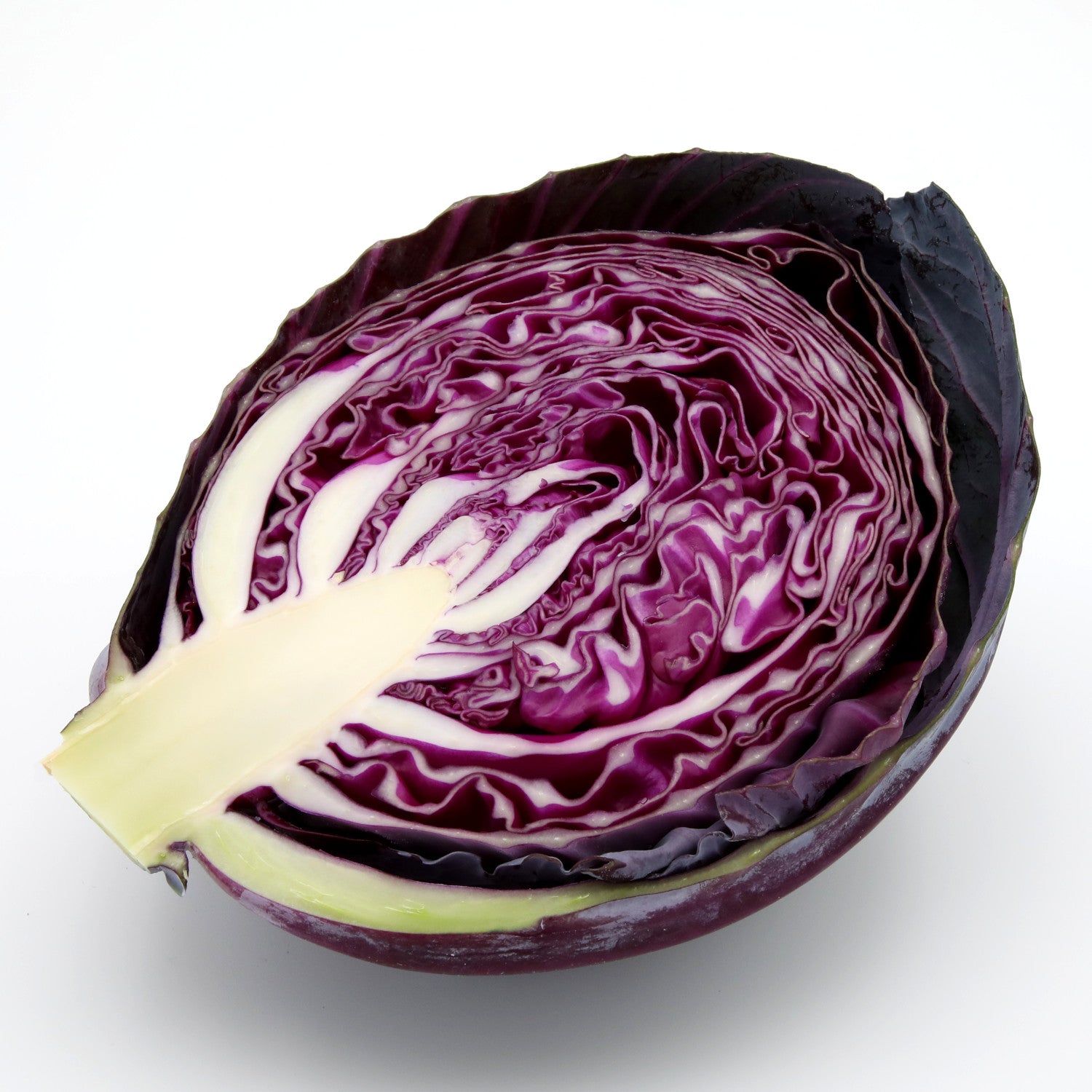 Cabbage - Red