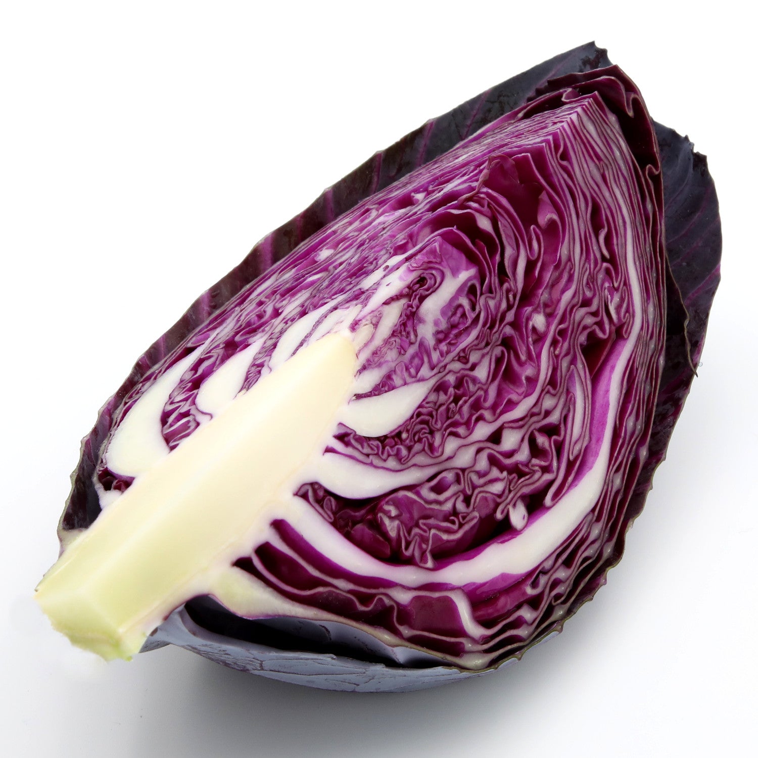 Cabbage - Red