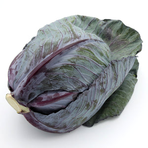 Cabbage - Red