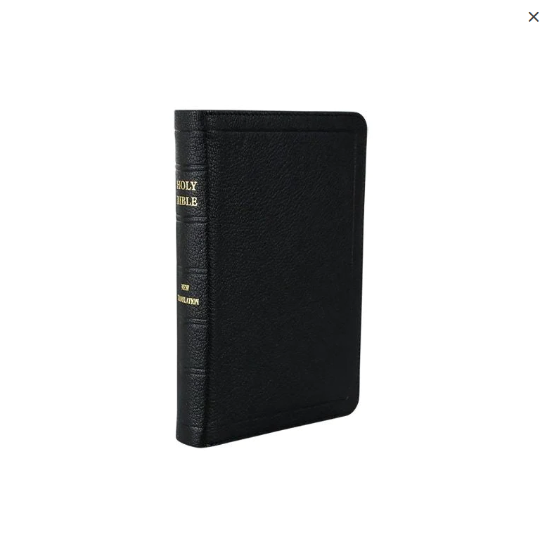 JN Darby Bible Medium Zip Binding No 17 Includes Extra Notes