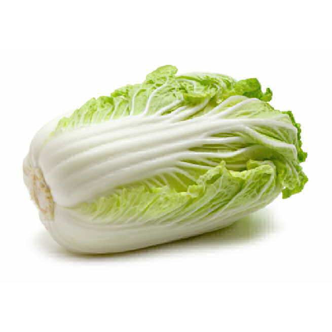 Cabbage - Wombok