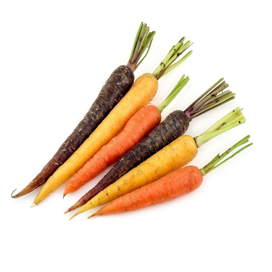 Carrots (Bunch) - Dutch Rainbow