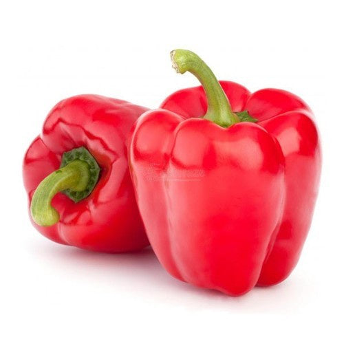 Capsicum (ea) - Red